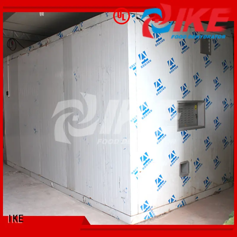 commercial low steel middle dehydrator machine IKE 1