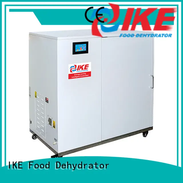 dehydrate in oven fruit temperature researchtype Warranty IKE 1