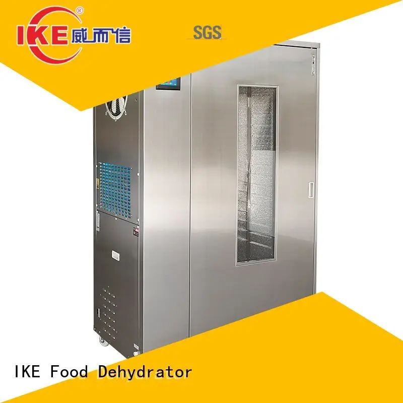 Custom stainless commercial food dehydrator fruit IKE 1