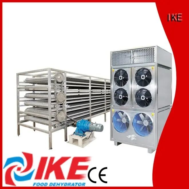 food mesh IKE Brand drying line 1