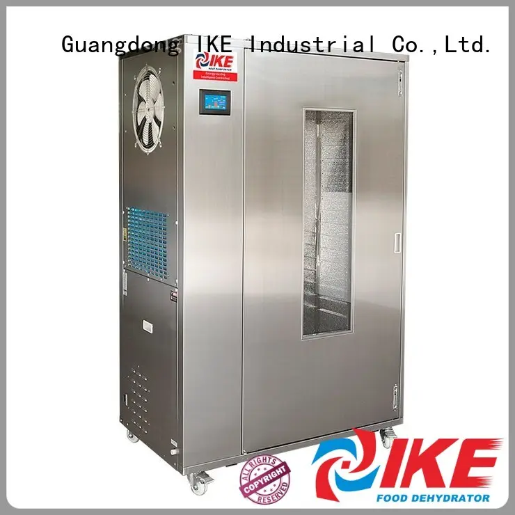 dehydrate in oven fruit food low commercial food dehydrator manufacture 1