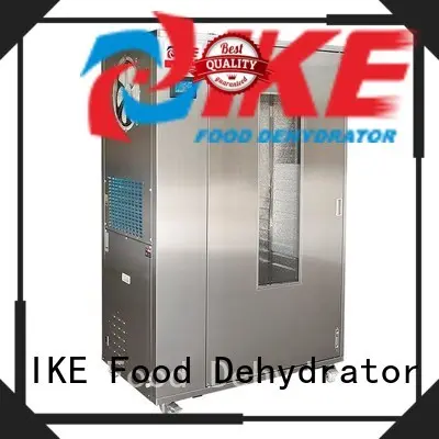 mini dryer oven machine machine flower IKE 1