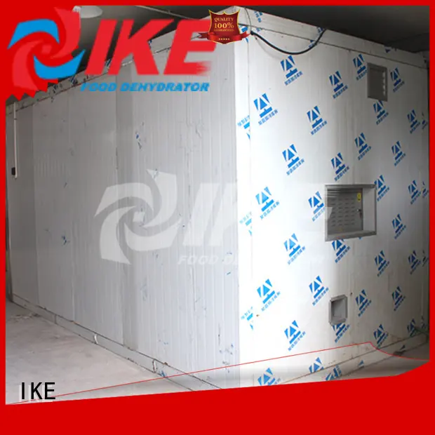 IKE electric industrial dehydrator vegetable 1
