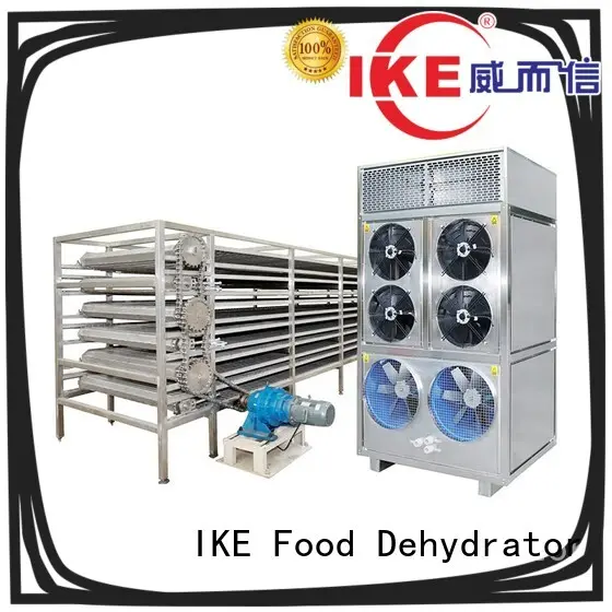 drying equipment dehydrator beef IKE 1