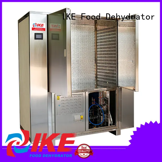 IKE precious meat dehydrator allinone fruit 1