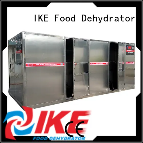 laboratory drying oven price temperature leave IKE 1