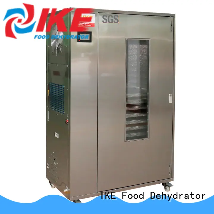 food dehydrator machine steel pump IKE 1