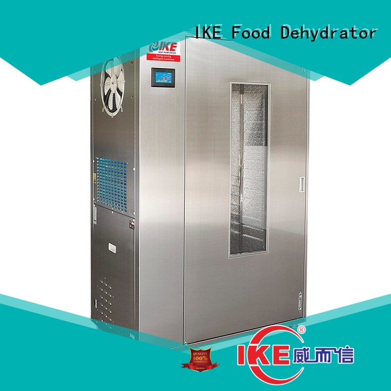 flower dehydrator machine for food leave heat IKE 1