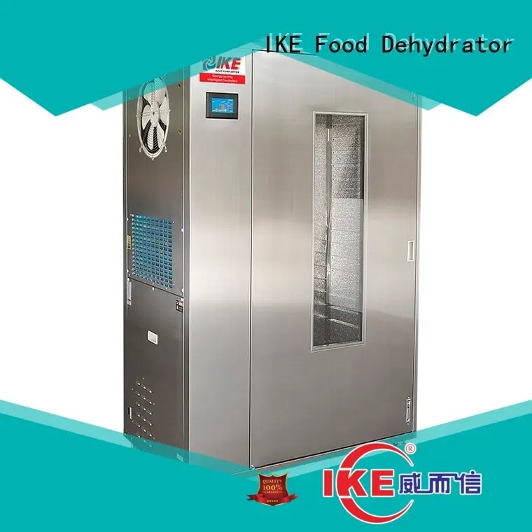flower dehydrator machine for food leave heat IKE 1