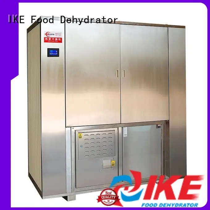 mini fruit and vegetable dehydrator steel vegetable 1