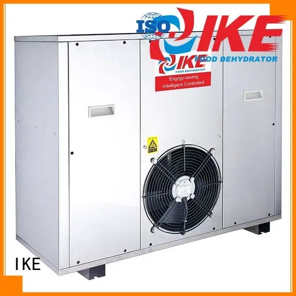 equipment raw food dehydrator fruit food IKE 1