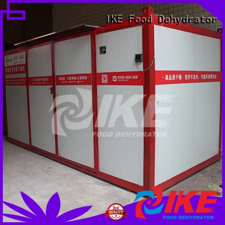 IKE professional commercial dryer sale beef 1