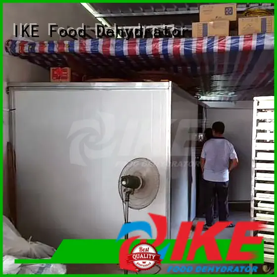 digital industrial dryer for sale beef IKE 1