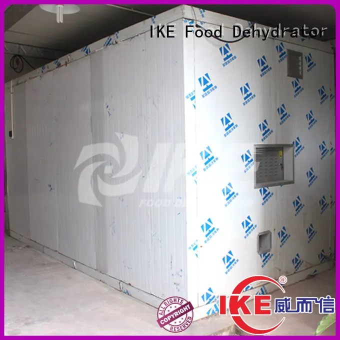 commercial dehydrator machine digital fruit IKE 1