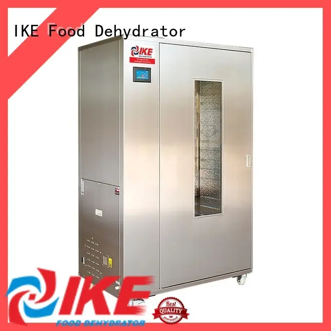 IKE mini large dehydrator middle heat 1