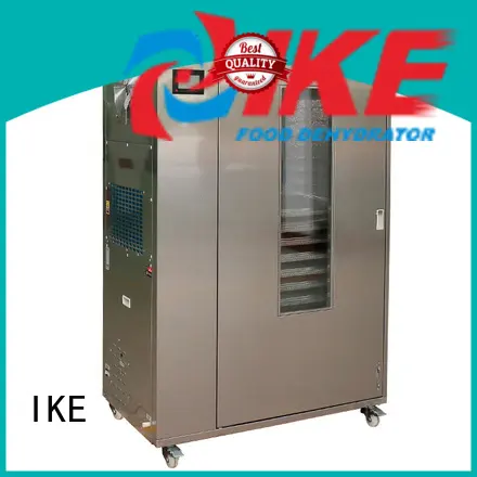 adjustable dry cabinet system oven IKE 1