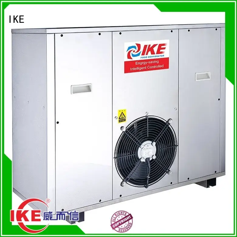 equipment raw food dehydrator sale vegetable IKE 1