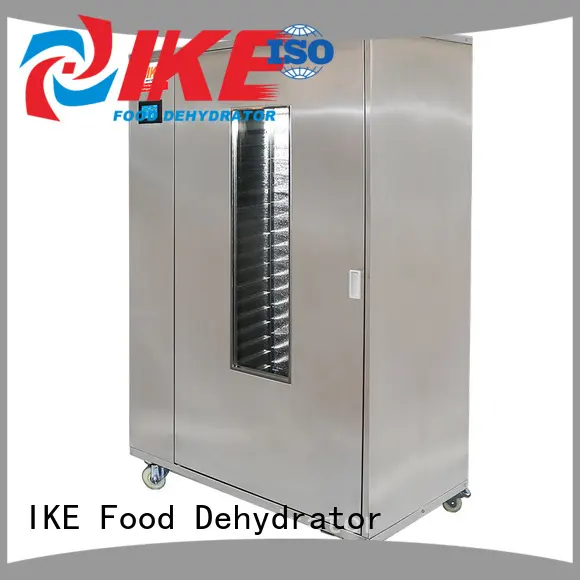 IKE herbs screen drying cabinet food pump 1