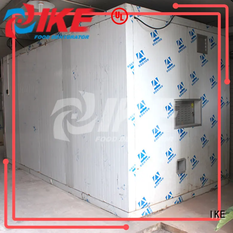 IKE electric commercial food dryer machine digital for food 1