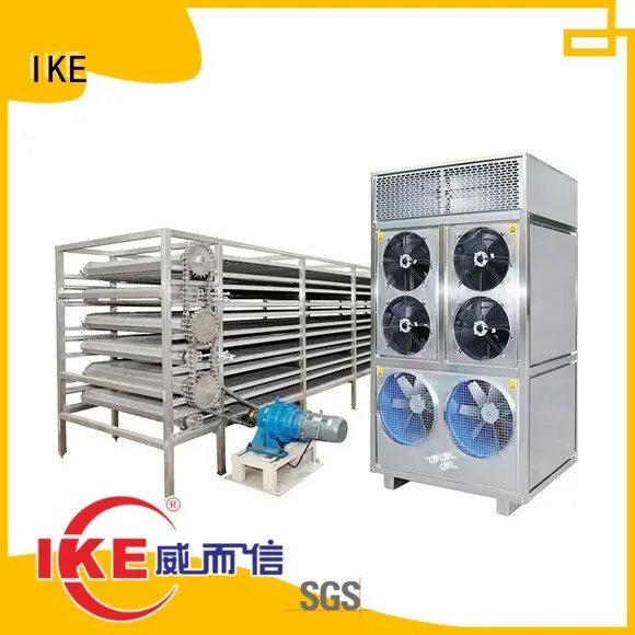 IKE belt conveyor manufacturers for jerky 1