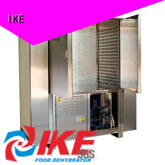 IKE mini best meat dehydrator flower for oven 1