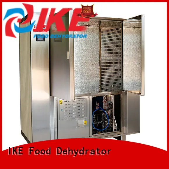 dehydrator machine for food dehydrator pump IKE 1