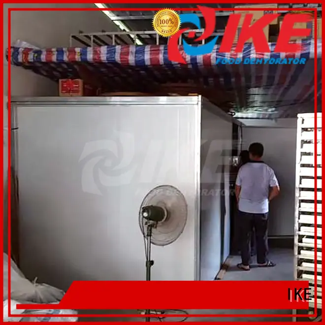 IKE digital commercial food dryer machine dehydrating for drying 1