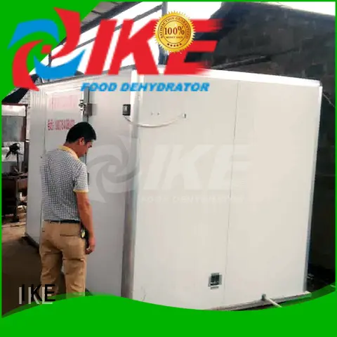 vegetable dryer digital for vegetable IKE 1