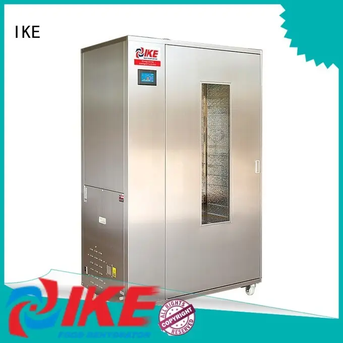 grade food drying machine system pump 1