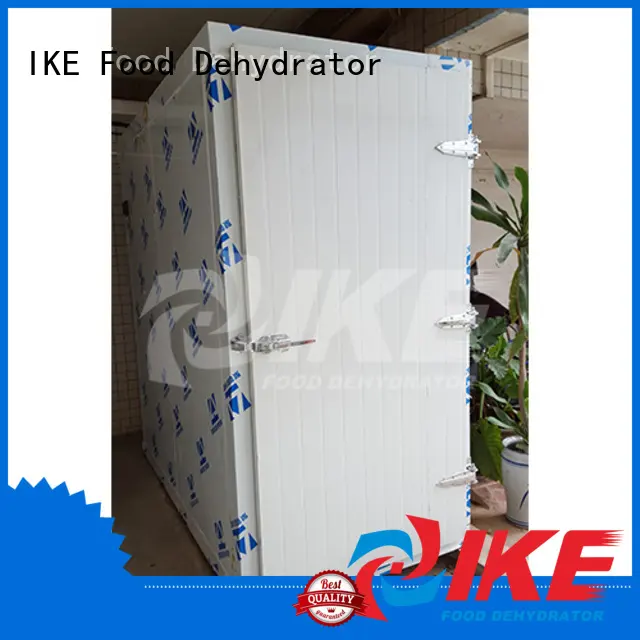 professional professional food dehydrator dehydrator fruit IKE 1