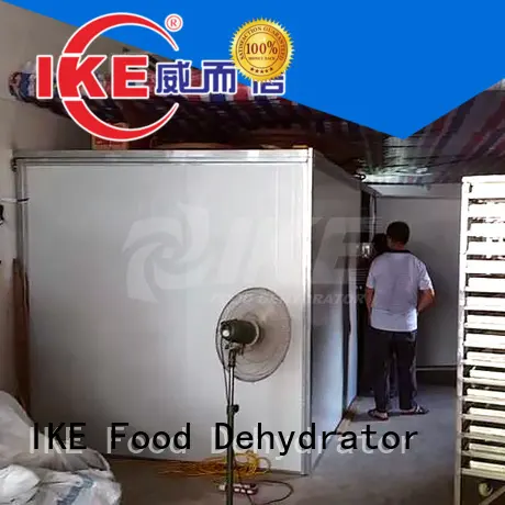 IKE large dehydrator machine for beef 1