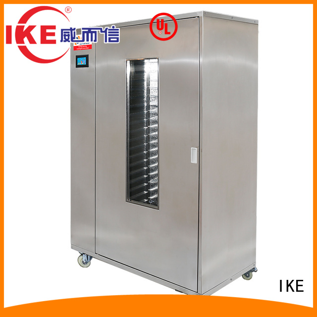 IKE mini food dryer dehydrator machine for leave 1