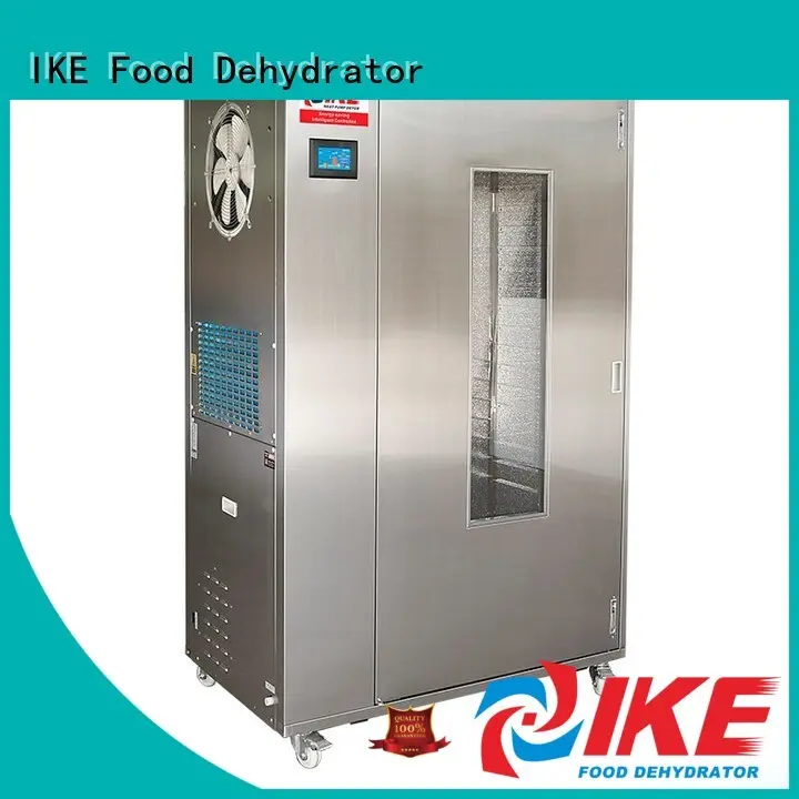 laboratory large dehydrator allinone heat 1