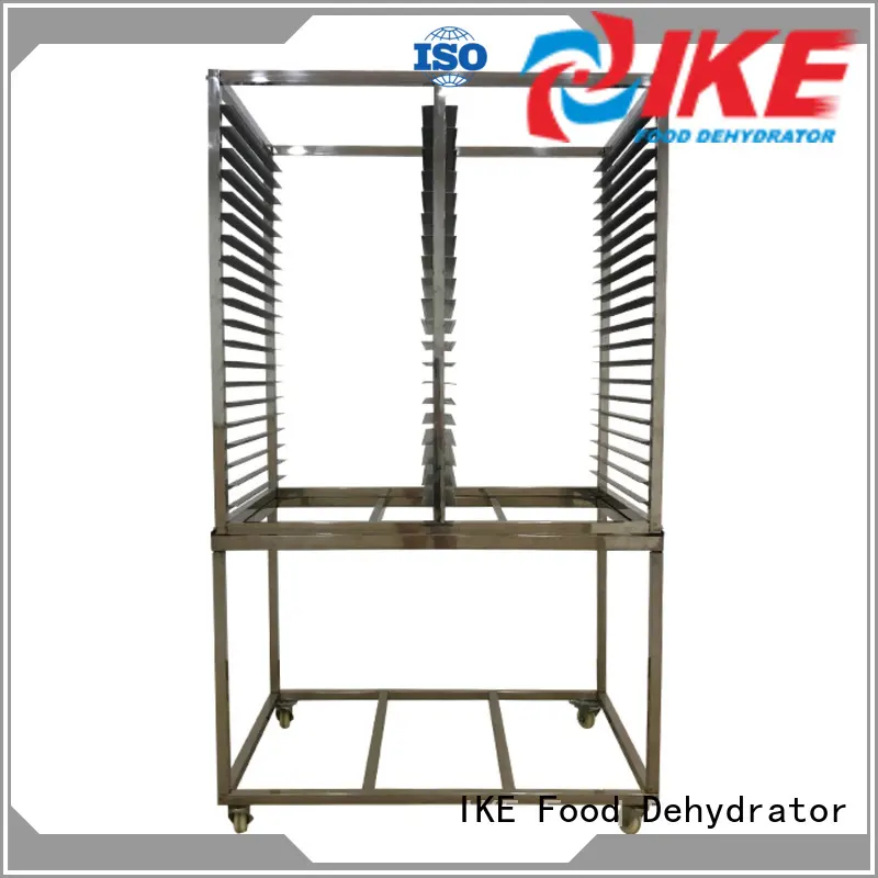 IKE food cheap plastic trays slot for fruit 1
