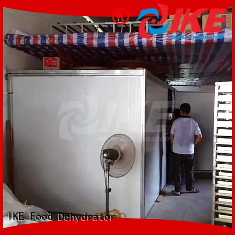 professional drying chamber equipment for dehydrating IKE 1