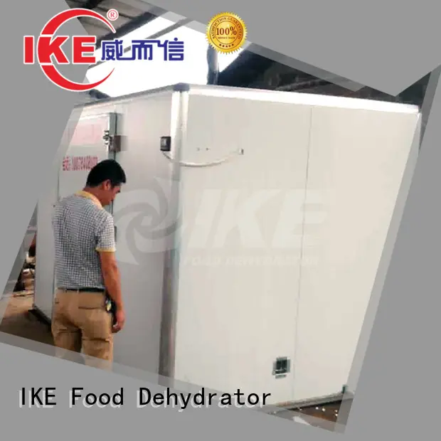 IKE steel fruit dryer dehydrator for drying 1