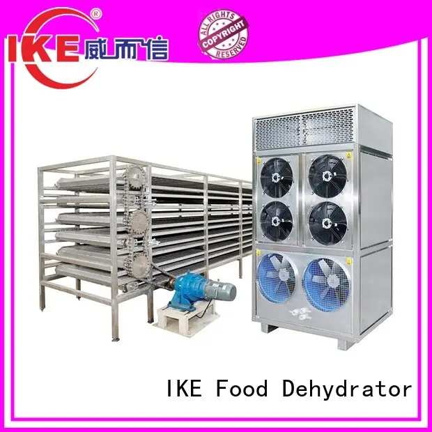 IKE on-sale stainless steel conveyor belt conveyor for jerky 1