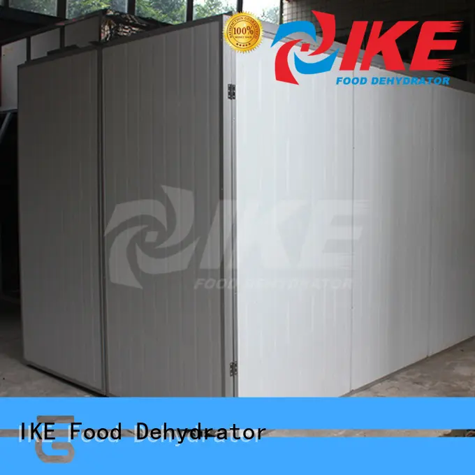 drying fruit dehydrater electric for jerky IKE 1