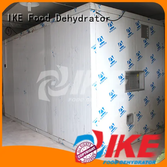 professional food dehydrator industrial for drying IKE 1