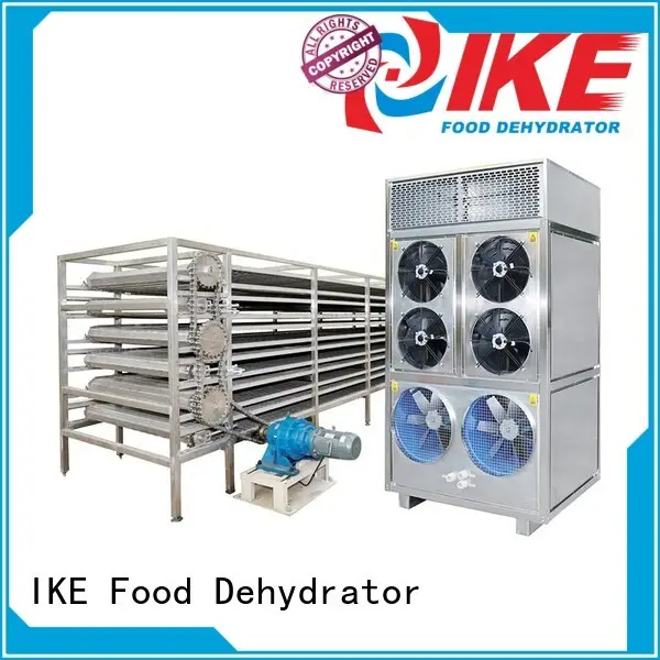 IKE large conveyor belt manufacturers inquire for fruit 1