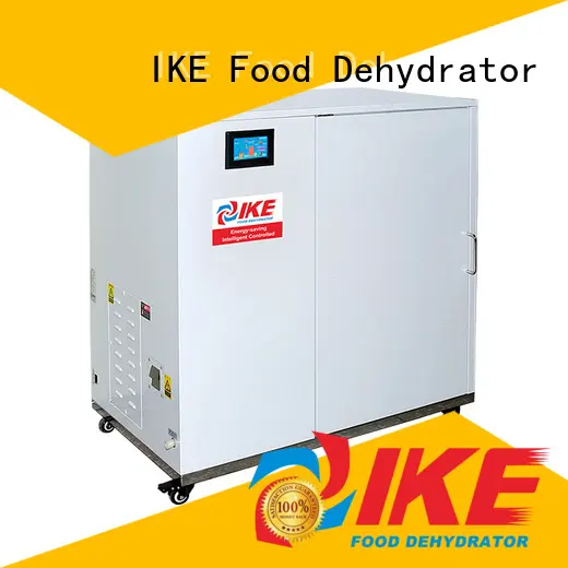 IKE mini best meat dehydrator stainless heat 1