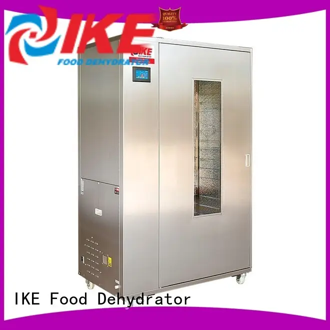leave cabinet dryer for food for vegetable IKE 1