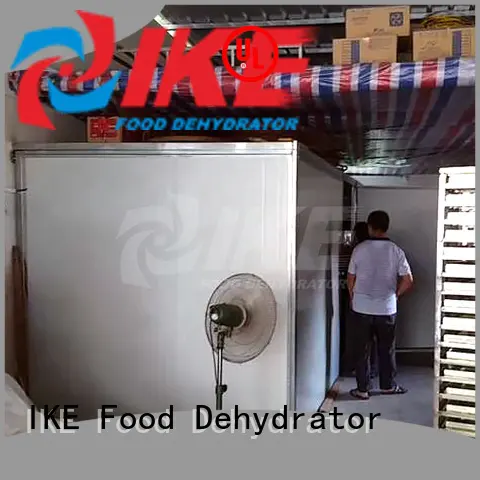 IKE industrial industrial dehydrator machine industrial for drying 1