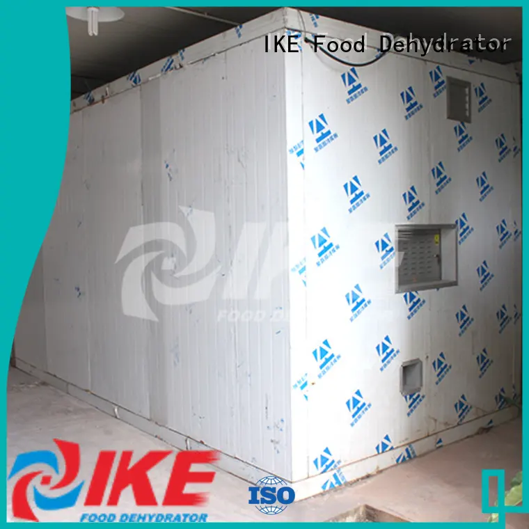 IKE professional industrial dryer machine drying for vegetable 1