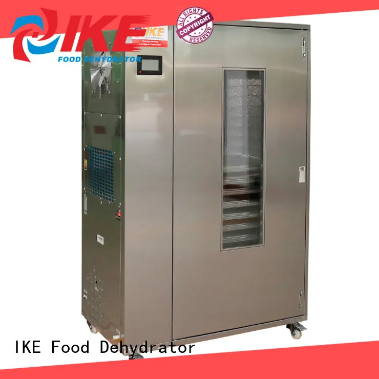 IKE adjustable food dehydrator jerky laboratory pump 1