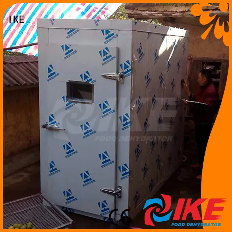 IKE low oster dehydrator middle fruit 1