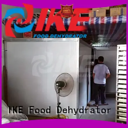 IKE stainless equipment for drying fruits and vegetables large for food 1