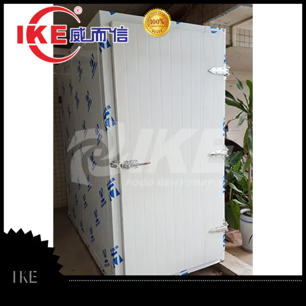 IKE professional professional food dehydrator dryer for vegetable 1