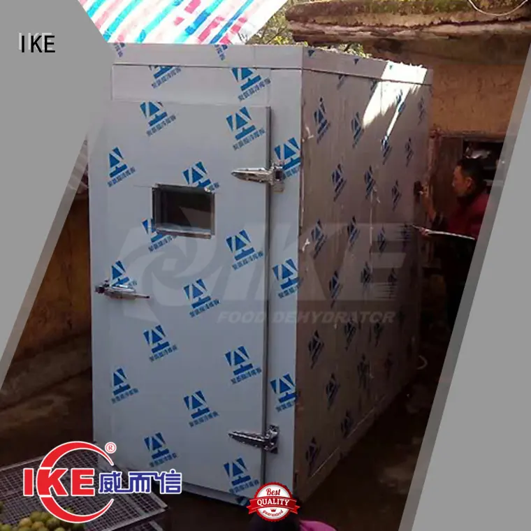 drying chamber dryer for food IKE 1
