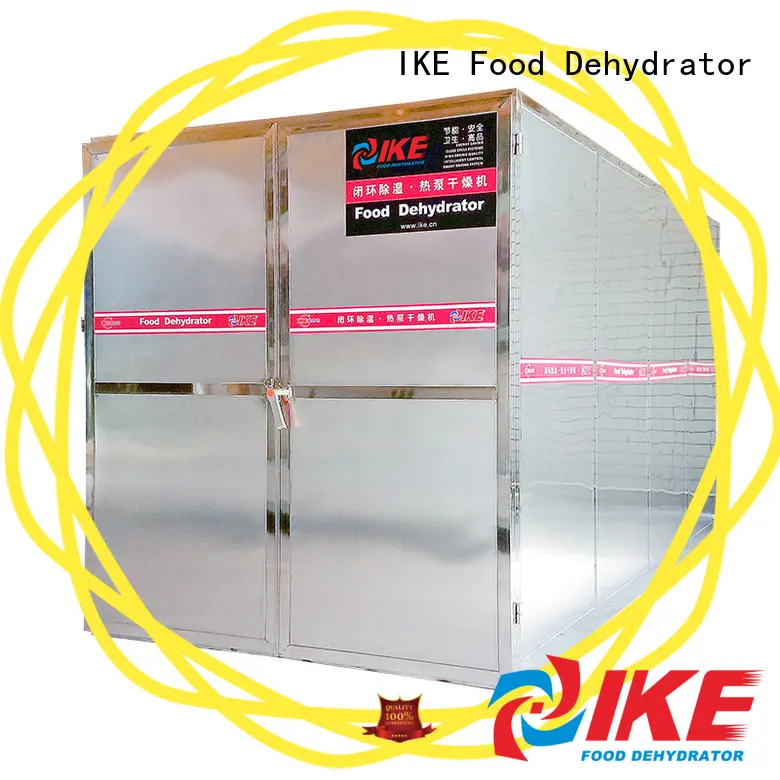 chinese dehydrate in oven dehydrating for vegetable IKE 1